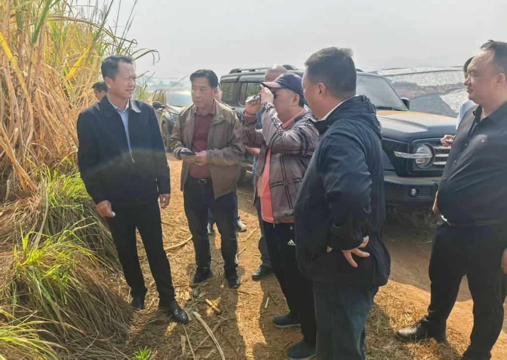 檢測甘蔗糖分.jpg 檢測甘蔗糖分.jpg